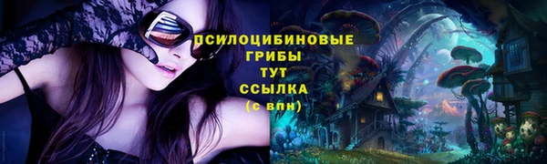гидропоника Тайга