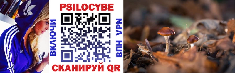 МЕГА как зайти  Тула  Псилоцибиновые грибы мухоморы  купить наркотик 