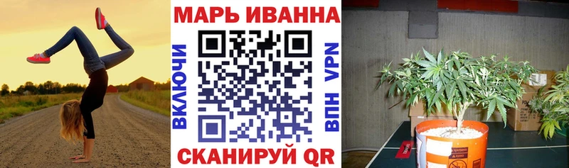 kraken онион  Тула  Бошки марихуана планчик  купить наркоту 